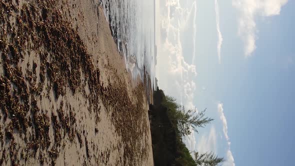 Vertical Video Empty Beach on Zanzibar Island Tanzania Aerial View