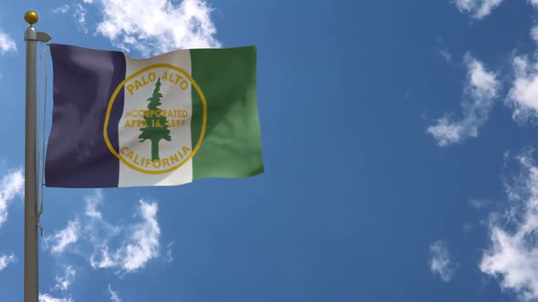 Palo Alto City Flag California (Usa) On Flagpole