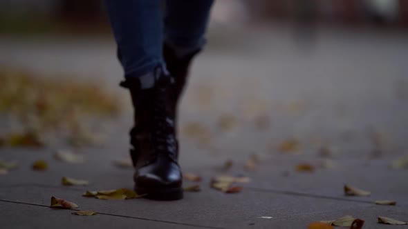 Female Feet Walking Over Asphalt with Dry Foliage at Autumn Day, Closeup View