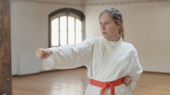 Side View of Serious Martial Artsist Lunging and Punching in Gym