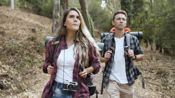 Couple of Backpackers Walking on Forest Path