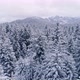 Snowy Woods And Mountains In Wintertime - VideoHive Item for Sale