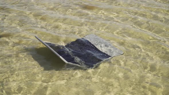 Laptop Underwater Into the Sea