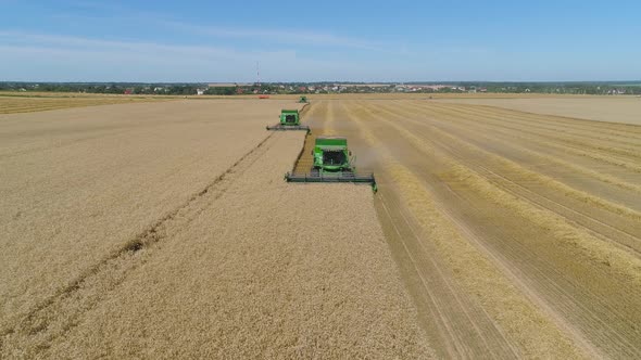 Combine Harvester on Wheat Field
