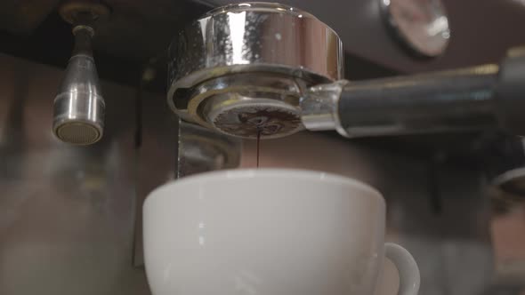 Pouring Coffee Stream From Professional Machine in Cup. Flowing Fresh Ground Coffee. Drinking