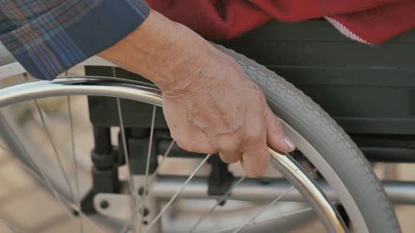 Woman's Hand Takes the Wheel of a Wheelchair