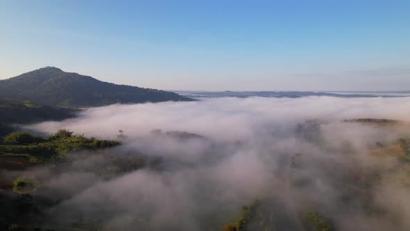 4K Aerial view of the misty sunrise in the forest. Tropical Rainforest in Thailand