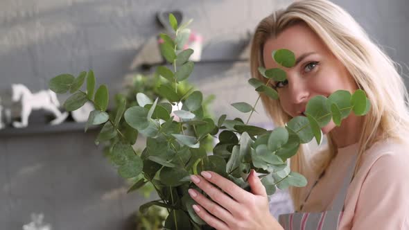 Joyful Woman Makes a Bouquet for Table Setting. The Blonde Is Making a Bouquet of Eucalyptus