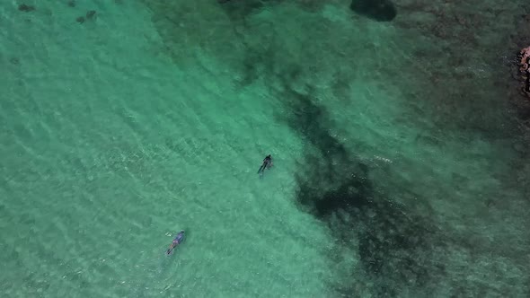 Free Diver Swimming On The Tropical Beach In Carnarvon, West Australia - Aerial Shot