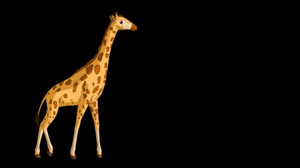 Big giraffe comes and eats grass alpha matte full shot 4K alt