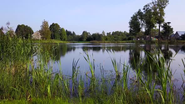 Homes Are Located Around the Lake with Reeds. Aerial Survey