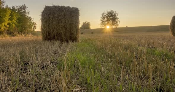 Flat Hill Meadow Timelapse at the Summer Sunset Time