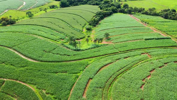 Countryside scenery aerial view. Rural landscape.