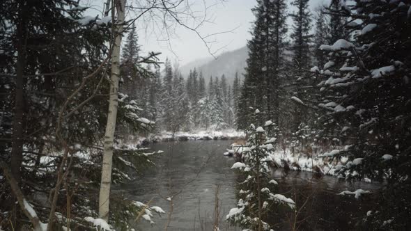 River coast covered with snow. Snowy winter park 