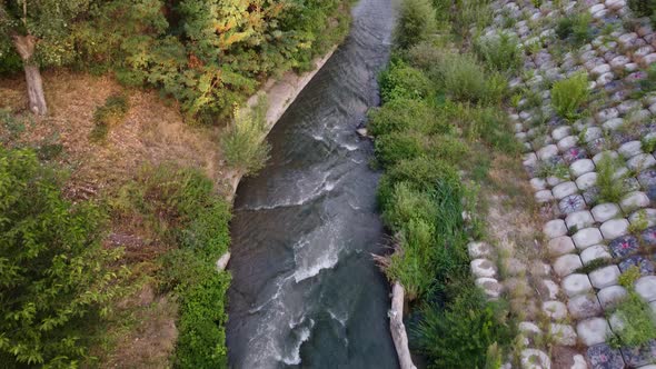 Birds In The Urban River Valley