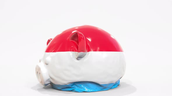 Deflating Piggy Bank with Printed Flag of Luxembourg