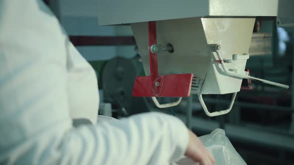 A Female Worker Packs Sugar Using Machine on Conveyor Belt of Sugar Beet Plant
