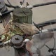 Pigeons Nesting in the City - VideoHive Item for Sale