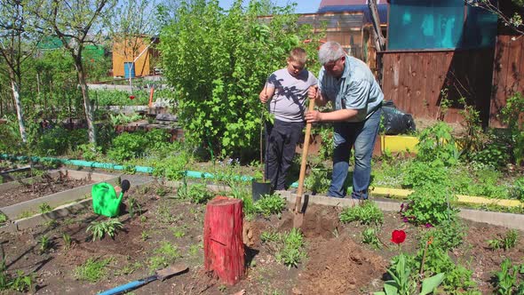 The Father Makes a Hole with a Shovel the Son Holds a Tree Sapling