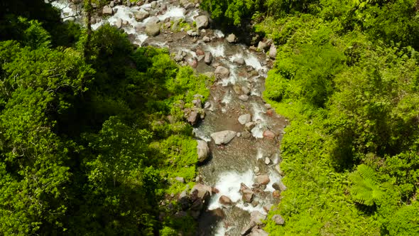 River Flowing in the Mountain Jungle Philippines Camiguin
