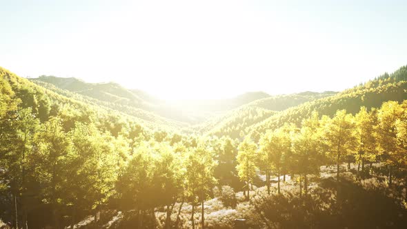 Aerial Drone View of a Mountain Forest with Colorful Autumn Trees