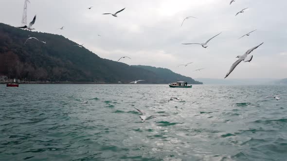 Istanbul Bosphorus And Fishing Boat Aerial View