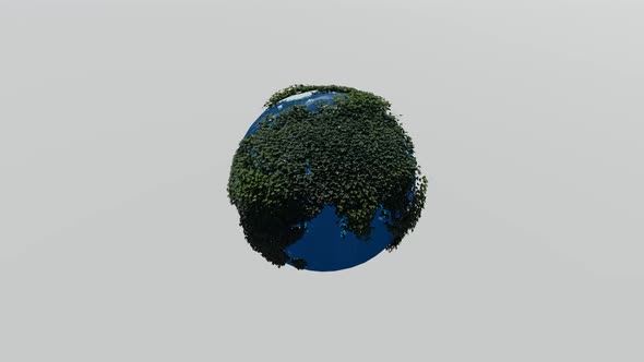 Earth rotates