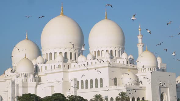 Slow motion Birds In font of Sheikh Zayed Grand Mosque Abu Dhabi