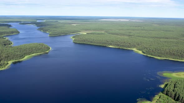 Flight over the taiga forest lake. Siberian nature