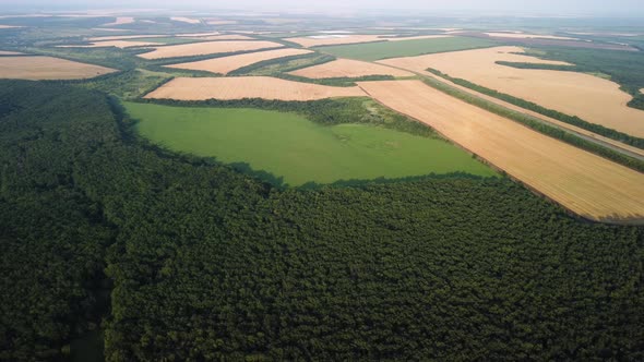 Fields Farm Forest and High Road with Quadrocopter