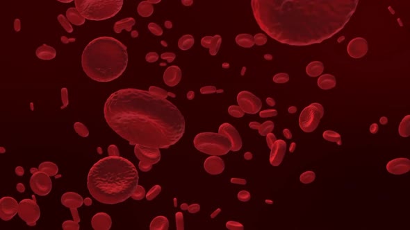 Red blood cells in an artery, flow inside body, medical human health-care.Red blood cells
