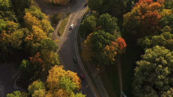 Aerial view of the urban road between autumn trees