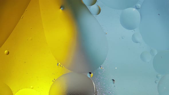 Macro Structure of Colorful Oil Bubbles. Chaotic Motion. Abstract Multicolored Background. Pattern