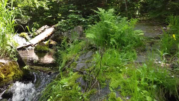 Aerial Over Small Creek with Log and Rocks Leading to Beautiful Waterfall in the Woods