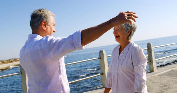 Senior couple embracing each other near seaside 4k