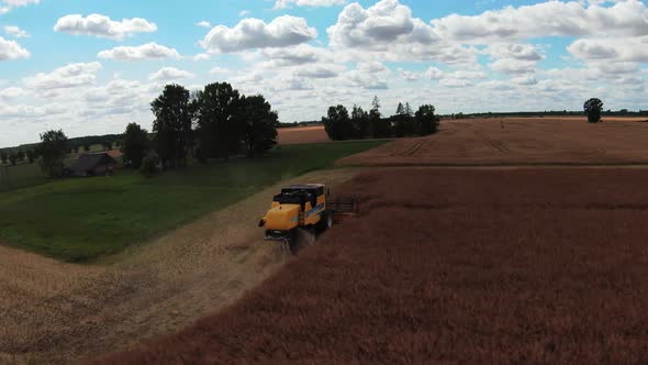 Combine Harvester Harvesting Large Field