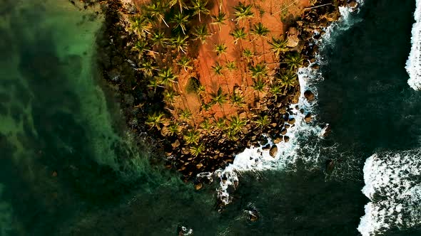 Aerial of Coconut Tree Hill, isolated palm trees. Mirissa, Sri Lanka