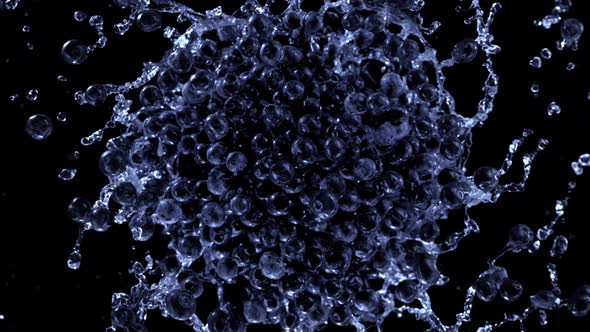 Super Slow Motion Shot of Rotating Exploded Blueberries with Splashing Water on Black at 1000Fps alt