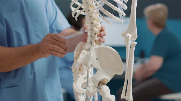 Physiotherapist Pointing at Back Bones on Human Skeleton