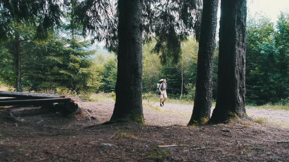 Tourist with a Backpack Climbs the Mountains Along the Path in the Forest