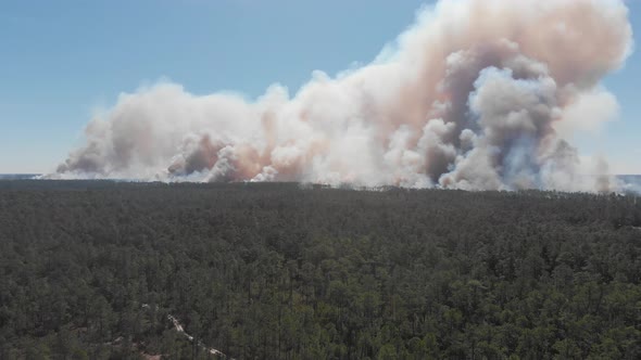 forest fire smoke billowing wild controlled burn forest service ocala national forest florida aerial