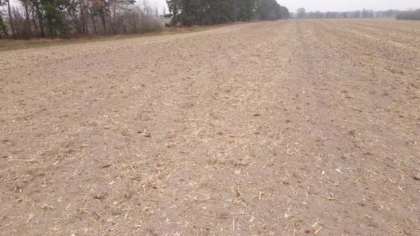 Land in a Plowed Field in Autumn