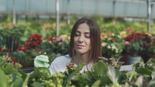 Girl sprays flowers in the garden. Caucasian woman takes care of plants by moisturizing them. Slow m