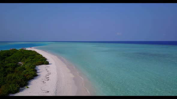 Aerial travel of tranquil lagoon beach wildlife by turquoise sea and bright sandy background of a pi