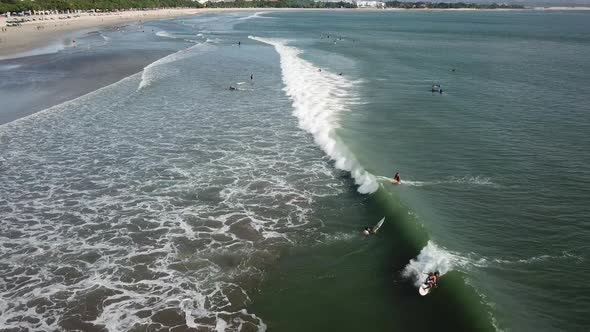 Surfer Caught a Wave