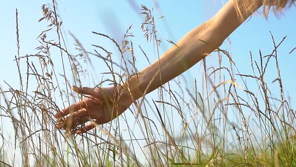 Close Up of a Girls Hand Playing in a Grassy Field at Dusk