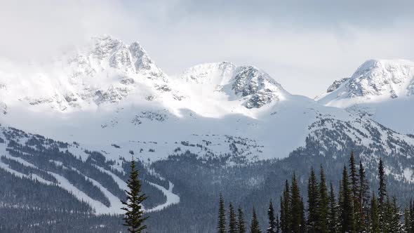 Snowy Forest on Top of the Mountains in Winter During Sunny Morning