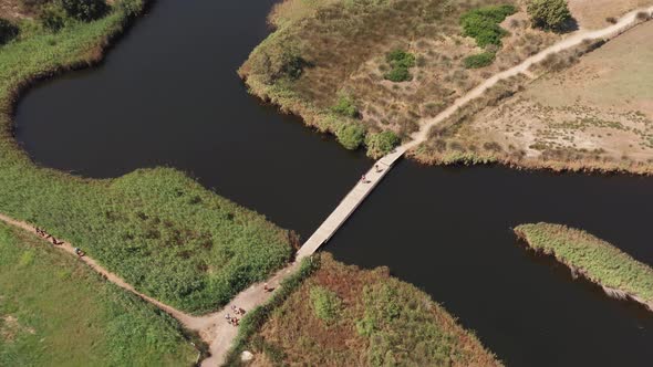 Aerial View of Unrecognisable People Walking Along a Wood Bridge