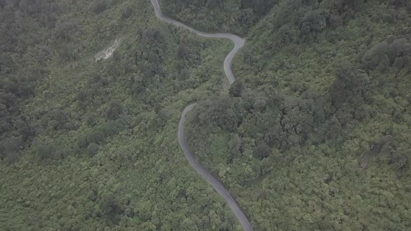 Scenic road in New Zealand West Coast