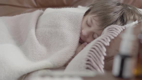 Portrait Small Boy Lying on the Sofa Covered with a Blanket at Home